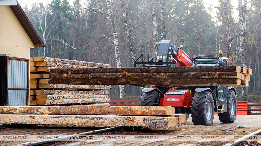Производства по выпуску поддонов намерены наладить в Дрогичинском и Лунинецком лесхозах