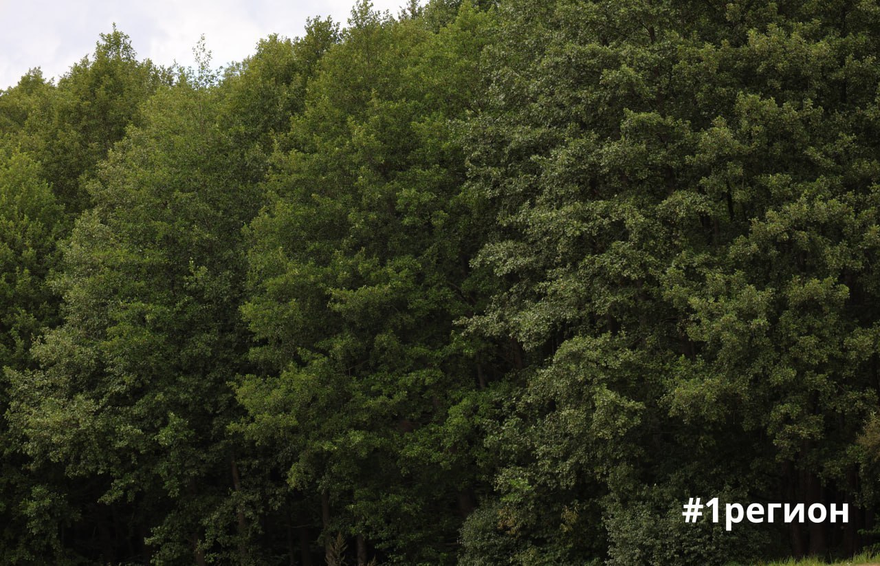 В Беларуси преобразован республиканский заказник «Споровский»